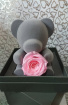 Gifts | Mother's Day | Upsell gifts | Valentine's Day | 'Forever' Rose Bear