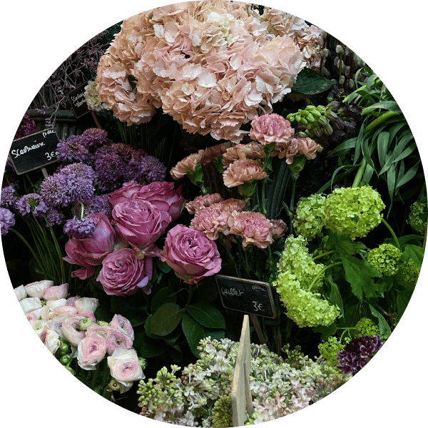 Florist Touch Demo | Newport | Home Page