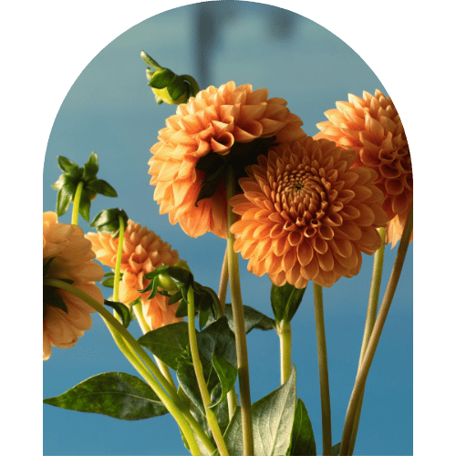 Florist Touch Demo | Newport | Test