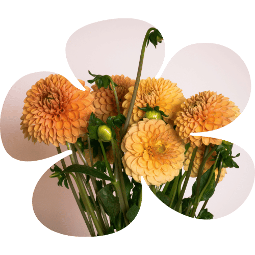Florist Touch Demo | Newport | Test