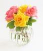Florist Touch Demo | Newport | Stock Images