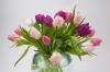 Florist Touch Demo | Newport | Stock Images