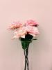 Florist Touch Demo | Newport | Stock Images