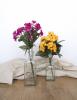 Florist Touch Demo | Newport | Stock Images