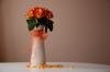 Florist Touch Demo | Newport | Stock Images