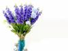 Florist Touch Demo | Newport | Stock Images