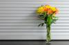 Florist Touch Demo | Newport | Stock Images