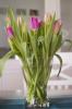 Florist Touch Demo | Newport | Stock Images