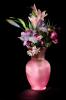 Florist Touch Demo | Newport | Stock Images