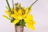 Florist Touch Demo | Newport | Stock Images