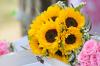 Florist Touch Demo | Newport | Stock Images
