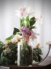 Florist Touch Demo | Newport | Stock Images