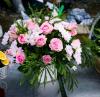 Florist Touch Demo | Newport | Stock Images