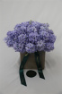 Bouquets, Bunches & Arrangements | Bespoke *Just For You* Bouquet