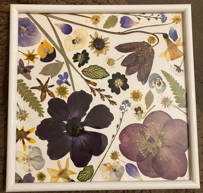 Gifts | Spring pressed flower frame