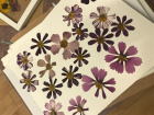 Gifts | Mother's Day | Workshops | Flower pressing workshop 25th June