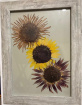 Gifts | Pressed flower art Sunflowers