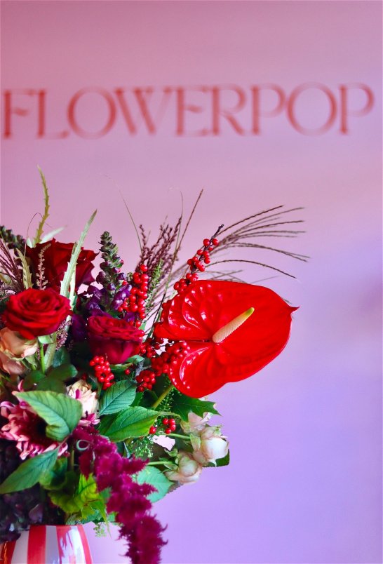 Christmas | Flowers - Bold Blooms | Winterpop Bold Blooms