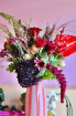Christmas | Flowers - Bold Blooms | Winterpop Bold Blooms