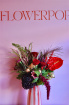 Christmas | Flowers - Bold Blooms | Winterpop Bold Blooms
