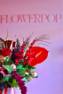 Christmas | Flowers - Bold Blooms | Winterpop Bold Blooms