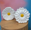Gifts & Cards | Upsell gifts | Daisy Vase