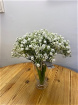 Autumn Sale | Gypsophila x 29 stems