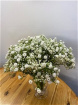 Autumn Sale | Gypsophila x 29 stems