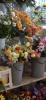 Mavis Lane Flowers | Selby | Floral Workshops Yorkshire