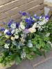 Mavis Lane Flowers | Selby | Funeral Flowers