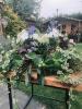 Mavis Lane Flowers | Selby | Funeral Flowers