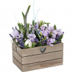 Flower Availability  | Our Maves’ Window Box