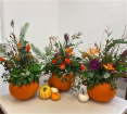 Workshops | Autumn Floral Pumpkins & Cocktails 27th Oct, 2pm, Carlton DN14.