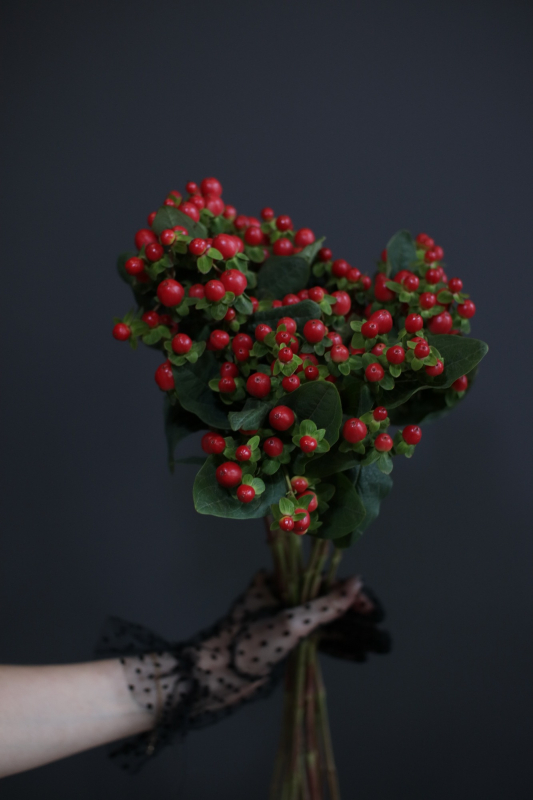 Fig and Bramble Ltd | Romsey | Seasonal Flower Guide