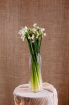 Christmas | Gifts | Mother's Day | Upsell gifts | Tall glass vase