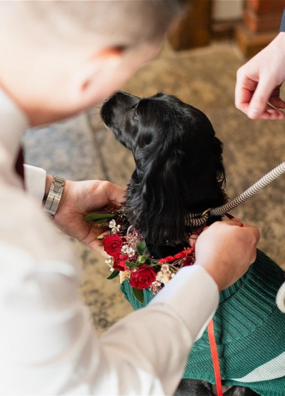FaB Signature Wedding Flowers | Dog flowers