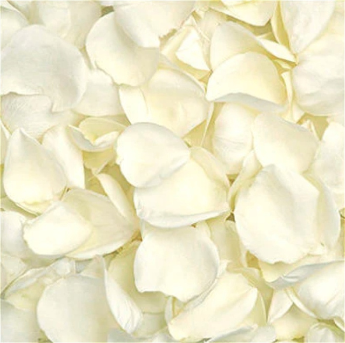 FaB Signature Wedding Flowers | Confetti