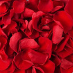 FaB Signature Wedding Flowers | Confetti
