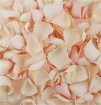 FaB Signature Wedding Flowers | Confetti