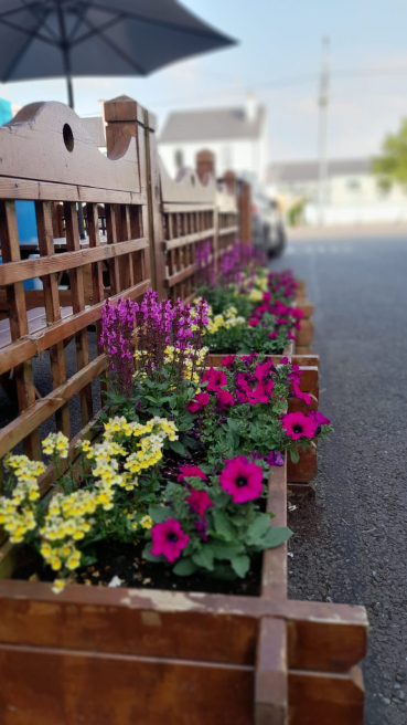 Violets Florist Ireland | Charlestown  | Dont forget to dead head your bedding plants