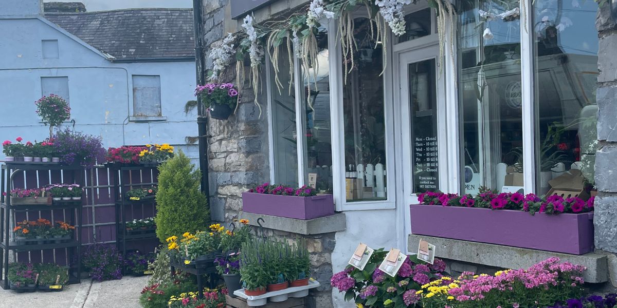 Violets Florist Ireland | Charlestown  | Home