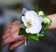 Bouquets | Debs Corsage