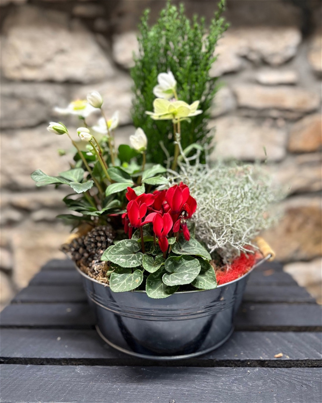 Christmas | Winter Woodland Planter