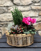 Christmas | Pink Winter Birch Planter