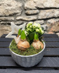 Christmas | Winter Star Bulb Bowl