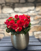Christmas | House Plants | Red Rose Begonia Luxe Planter