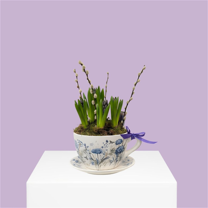 Easter | House Plants | Mother's Day | Spring | Violet Spring Cup