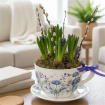 Easter | House Plants | Mother's Day | Spring | Violet Spring Cup