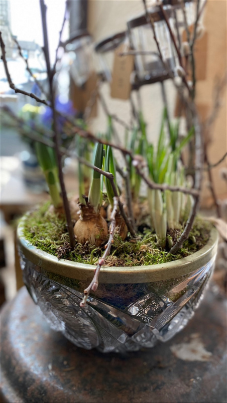 Arrangements | Easter | Vintage cut glass planter