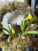 Easter | Workshops | Easter Wreath Workshop